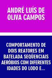   Comportamento de dois reatores em batelada seqüenciais aeróbios com diferentes idades do lodo e retorno total do lodo em excesso após desintegração com ultra Escola de Engenharia de São Carlos / Hidráulica e Saneamento