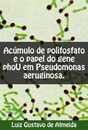 Polifosfato inorgânico (PPi) é um polímero linear formado por diversas moléculas de ortofosfato (Pi) unidas por ligações fosfoanidridas de alta energia. Bactérias da espécie Pseudomonas aeruginosa acumulam grandes quantidades de PPi. Moléculas de Pi são captadas do meio através de dois sistemas de transporte. O principal deles é o sistema Pst, que possui alta afinidade por seu substrato. Pst é codificado por um operon de mesmo nome, formado por cinco genes. Os quatro primeiro genes codificam para as proteínas envolvidas no transporte de Pi, sendo que o último gene do operon, phoU, codifica para uma proteína cuja exata função é desconhecida. Com o objetivo de elucidar o papel deste gene e avaliar a sua relação com o acúmulo de PPi, foi construída uma mutação phoU na cepa PA14 de P. aeruginosa. O mutante não só apresentou uma maior capacidade de acumular PPi mas também se mostrou mais sensível a estresses ambientais e a antibióticos. Os resultados obtidos indicam que o gene phoU possui uma função regulatória sobre o acúmulo de PPi. O mutante phoU também apresentou níveis mais altos da molécula de alarme guanosina tetrafosfato (ppGpp). Foi proposto...