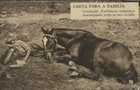 Carta para a família : conductor dartilheria britannica descançando junto ao seu cavallo : [Guerra 1914-1918]. - [S.l. : s.n., 1914-18] (Grã-Bretanha). - 1 postal : castanho ; 9x14 cm