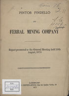 Pintor Pindello and Ferral Mining Company : report presented to the General Meeting held 18th August, 1875. - Lisbon : W.T.Woods Printing-Office, 1875. - 15 p. ; 23 cm