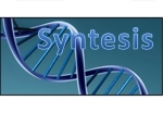 
						Laboratório Syntesis! Uma equipe de Pesquisadores trabalham no estudo de novas Proteínas. Mas um erro de procedimento fez com que os Materiais Genéticos descartados, ficassem livres para recombinações perigosas com alguns tipos de Vírus. Agora, além da Pesquisa, os Pesquisadores terão que lidar também com as ativações destes Vírus e saber anular as consequências destas ativações, que poderão afetar diretamente as Pesquisas de todos. E neste contexto, aquele que melhor tirar proveito da situação, será o vencedor !					
				 -  Jogos de Estratégia; Jogos Familiares -  Economia; Ficção Científica; Expansão Territorial; Imprima e Jogue -  Colocação de Peças; Marcadores e Hexágonos; RPG
