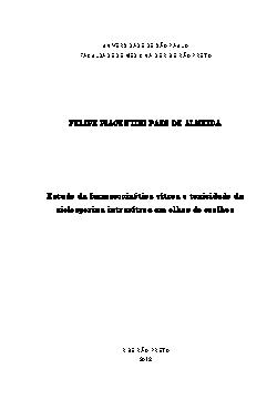 Felipe Piacentini Paes de Almeida
