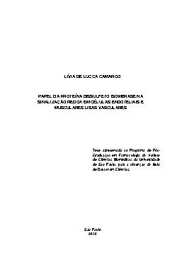 Lívia de Lucca Camargo