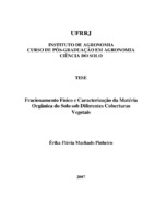 Fracionamento químico. Estoque de C e N. Fração leve. δ13C. Espectroscopia de infravermelho.