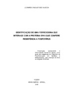 Resistência a Doenças/ Tospovírus/ Sistema Duplo-Híbrido de Leveduras