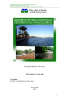  - Azores 1975. - Avaliação de impactos ambientais nos tributários do Lago Paranoá - Brasília - DF - UNB/GEOLOGIA - GEOCIÊNCIAS - 2008