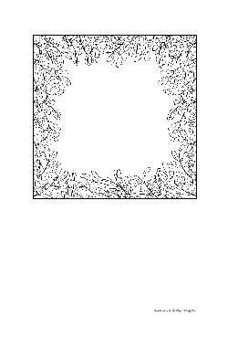 Livro de Colorir para adultos, terapia e relaxamento. Imprima e use seus lápis de cor!