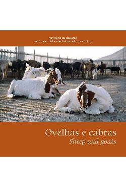 Cartilhas Temáticas: ovelhas e cabras: sheep and goats